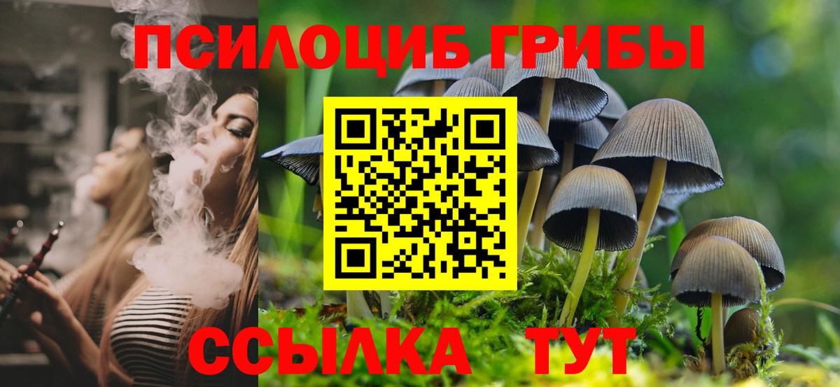 Псилоцибиновые грибы Cubensis Партизанск