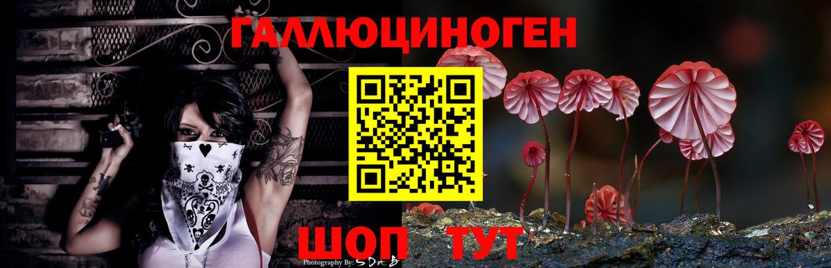 Псилоцибиновые грибы Cubensis  Вход с VPN  Псилоцибиновые грибы GOLDEN TEACHER  Партизанск 
